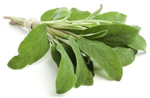 salie mediterrane dieet