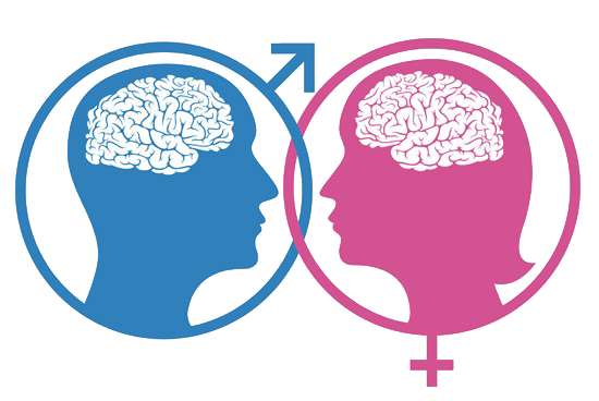 Verschil brein mannen vrouwen